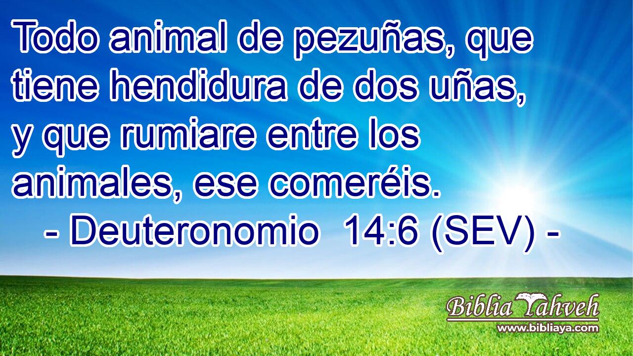 Todo animal de pezuñas, que tiene hendidura de dos uñas, y que rumiare entre los animales, ese comeréis.