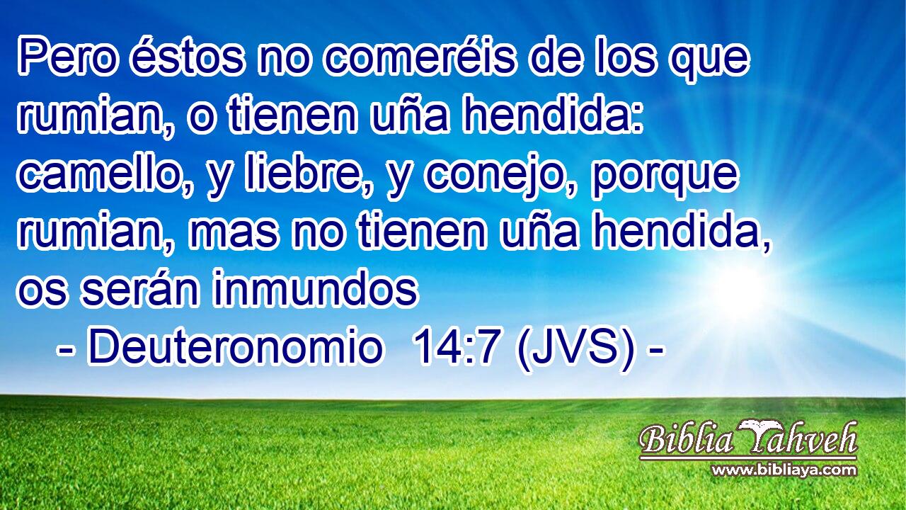 Pero éstos no comeréis de los que rumian, o tienen uña hendida: camello, y liebre, y conejo, porque rumian, mas no tienen uña hendida, os serán inmundos