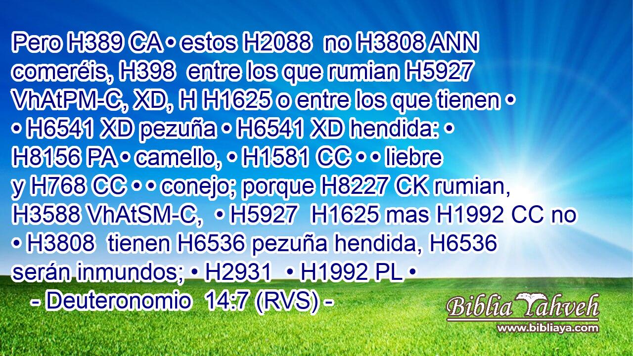 Pero H389 CA • estos H2088  no H3808 ANN comeréis, H398  entre los que rumian H5927 VhAtPM-C, XD, H H1625 o entre los que tienen • • H6541 XD pezuña • H6541 XD hendida: • H8156 PA • camello, • H1581 CC • • liebre y H768 CC • • conejo; porque H8227 CK rumian, H3588 VhAtSM-C,  • H5927  H1625 mas H1992 CC no • H3808  tienen H6536 pezuña hendida, H6536 serán inmundos; • H2931  • H1992 PL • 