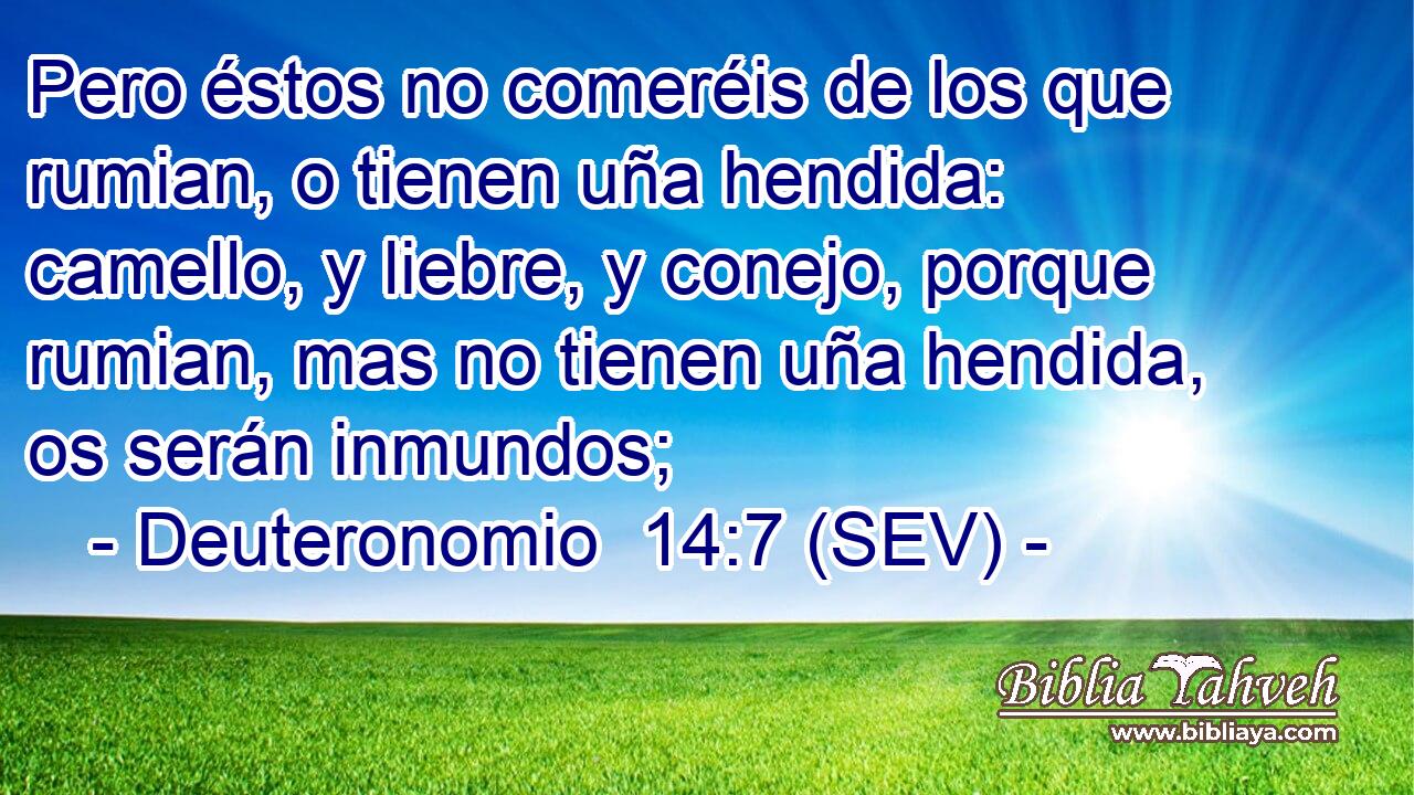 Pero éstos no comeréis de los que rumian, o tienen uña hendida: camello, y liebre, y conejo, porque rumian, mas no tienen uña hendida, os serán inmundos;