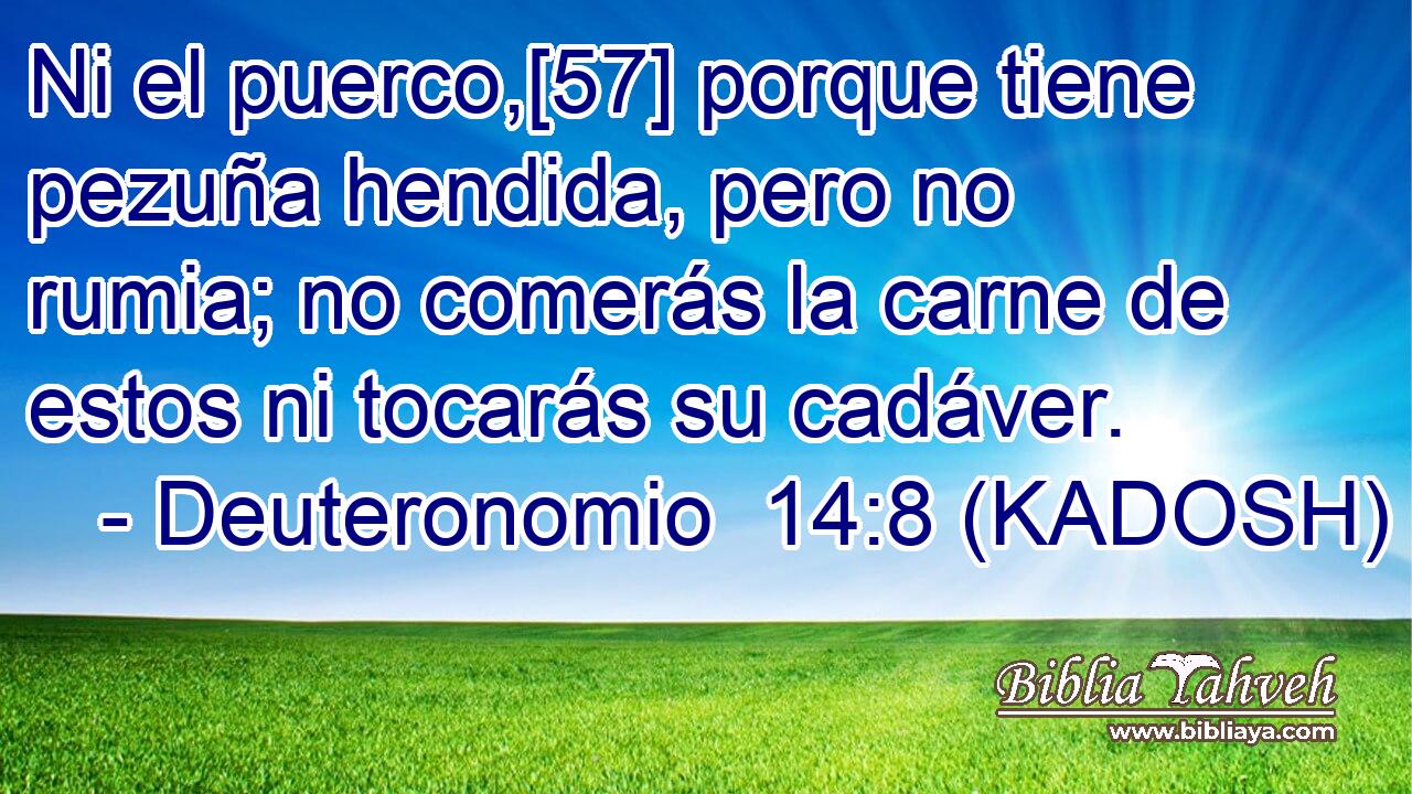  Ni el puerco,[57] porque tiene pezuña hendida, pero no rumia; no comerás la carne de estos ni tocarás su cadáver. 