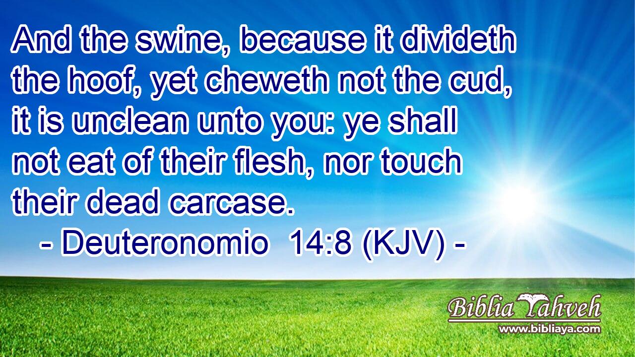 And the swine, because it divideth the hoof, yet cheweth not the cud, it is unclean unto you: ye shall not eat of their flesh, nor touch their dead carcase.