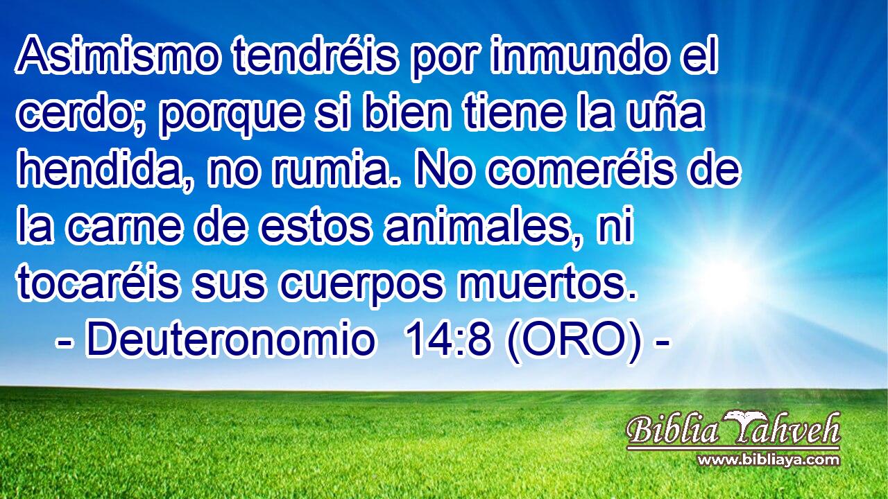  Asimismo tendréis por inmundo el cerdo; porque si bien tiene la uña hendida, no rumia. No comeréis de la carne de estos animales, ni tocaréis sus cuerpos muertos. 