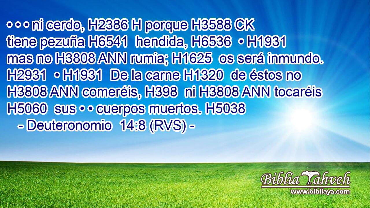 • • • ni cerdo, H2386 H porque H3588 CK tiene pezuña H6541  hendida, H6536  • H1931  mas no H3808 ANN rumia; H1625  os será inmundo. H2931  • H1931  De la carne H1320  de éstos no H3808 ANN comeréis, H398  ni H3808 ANN tocaréis H5060  sus • • cuerpos muertos. H5038  