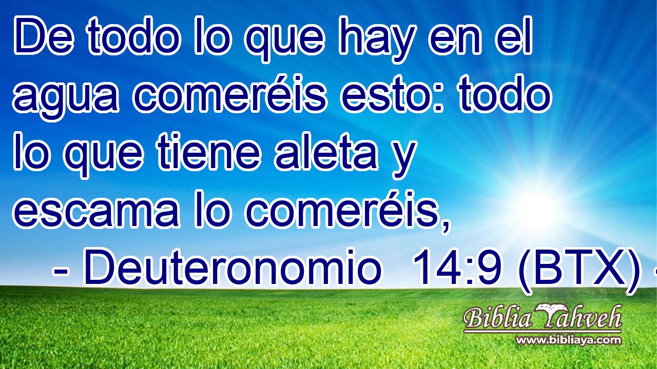 De todo lo que hay en el agua comeréis esto: todo lo que tiene aleta y escama lo comeréis,
