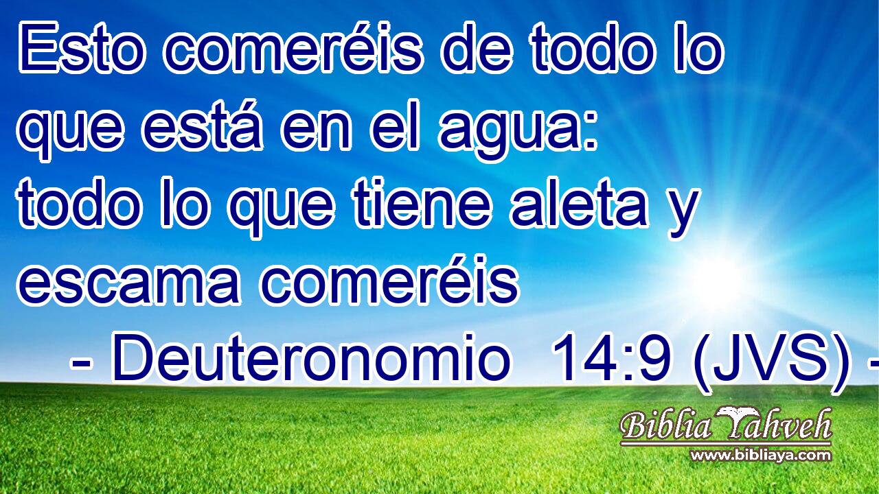 Esto comeréis de todo lo que está en el agua: todo lo que tiene aleta y escama comeréis