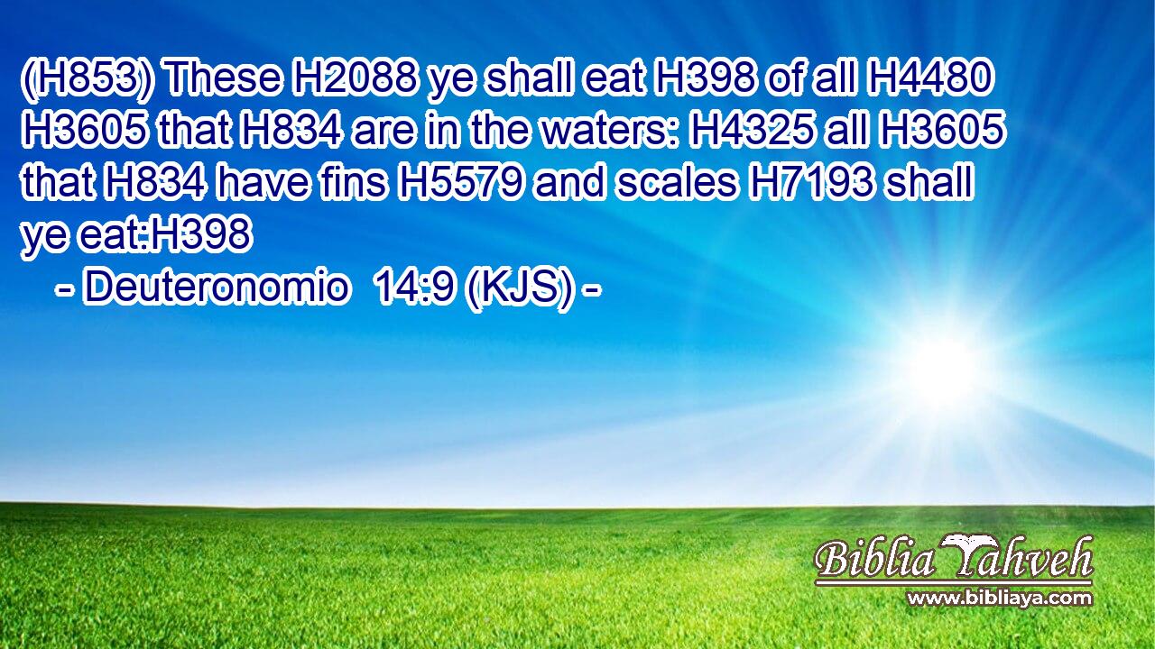 (H853) These H2088 ye shall eat H398 of all H4480  H3605 that H834 are in the waters: H4325 all H3605 that H834 have fins H5579 and scales H7193 shall ye eat:H398