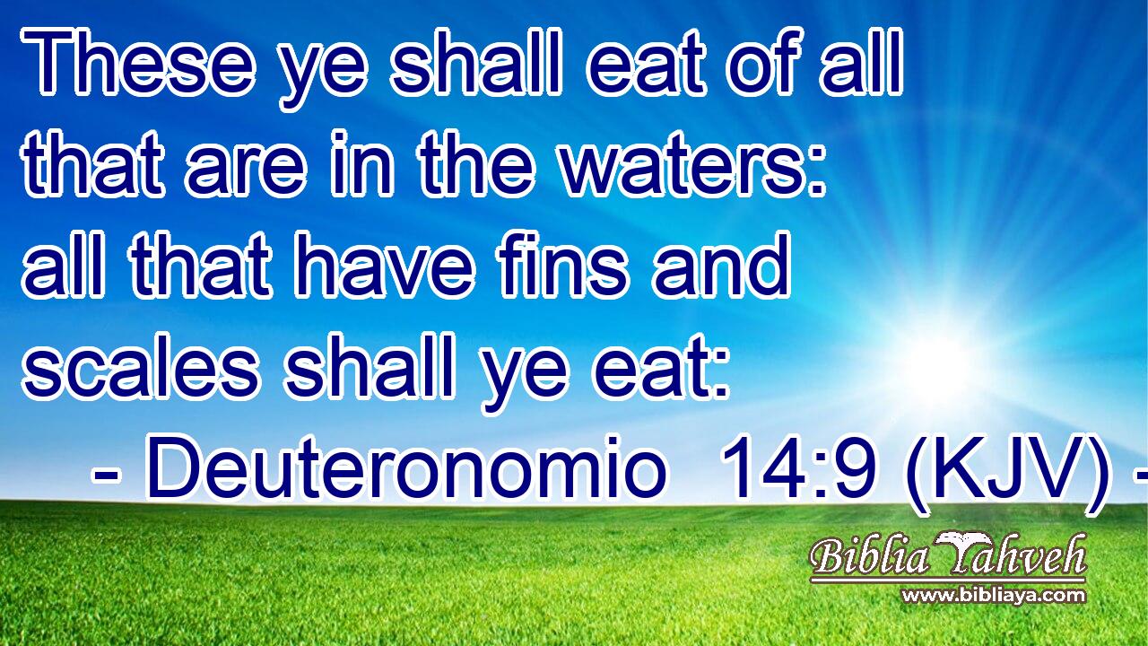 These ye shall eat of all that are in the waters: all that have fins and scales shall ye eat: