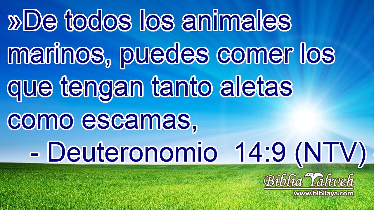 »De todos los animales marinos, puedes comer los que tengan tanto aletas como escamas,