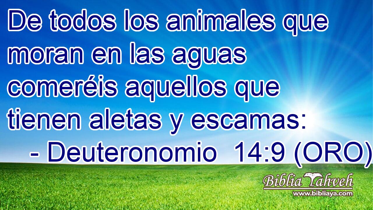  De todos los animales que moran en las aguas comeréis aquellos que tienen aletas y escamas: 