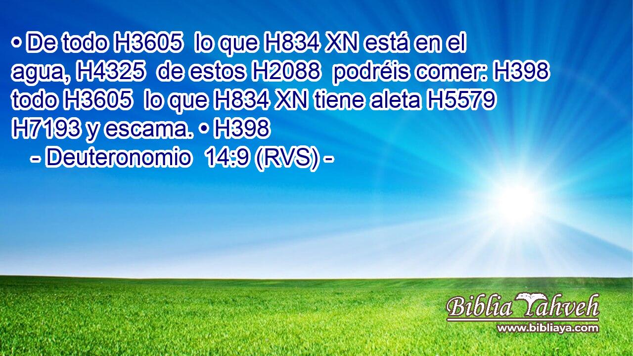• De todo H3605  lo que H834 XN está en el agua, H4325  de estos H2088  podréis comer: H398  todo H3605  lo que H834 XN tiene aleta H5579  H7193 y escama. • H398  