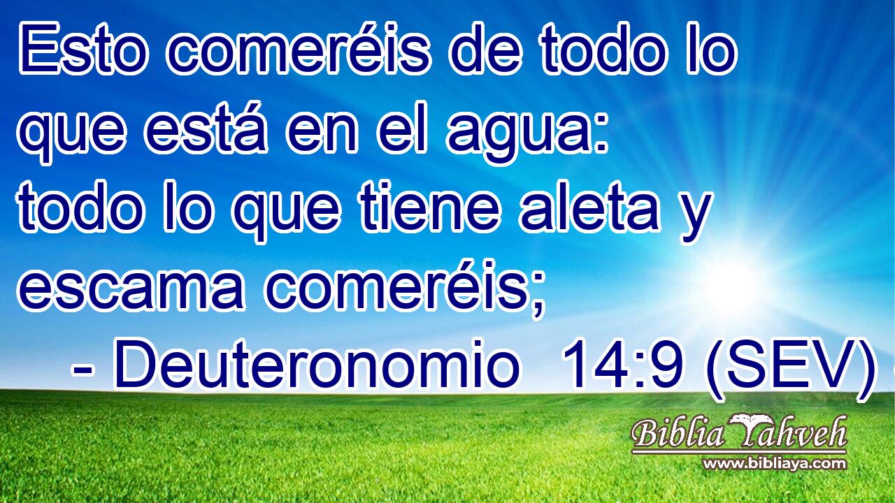 Esto comeréis de todo lo que está en el agua: todo lo que tiene aleta y escama comeréis;