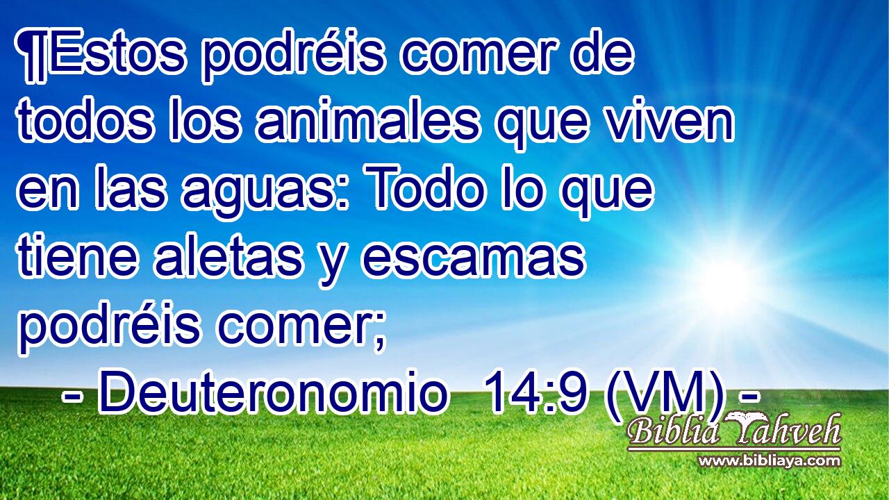  ¶Estos podréis comer de todos los animales que viven en las aguas: Todo lo que tiene aletas y escamas podréis comer; 