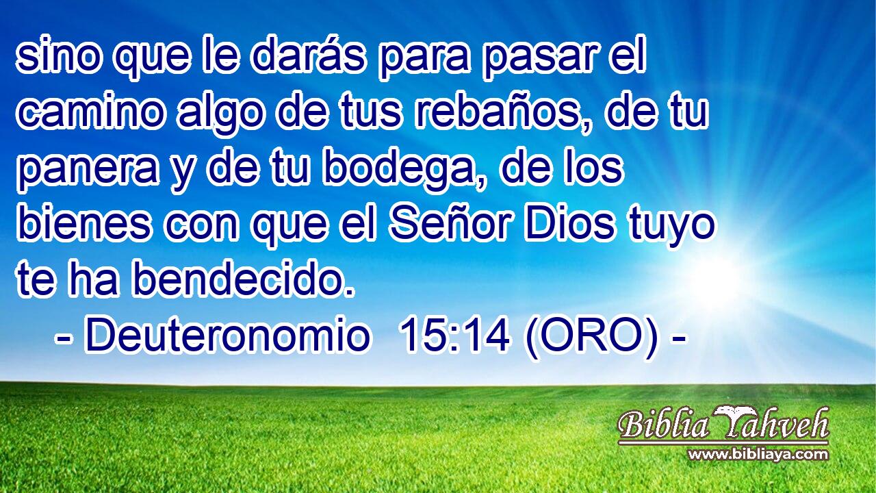  sino que le darás para pasar el camino algo de tus rebaños, de tu panera y de tu bodega, de los bienes con que el Señor Dios tuyo te ha bendecido. 