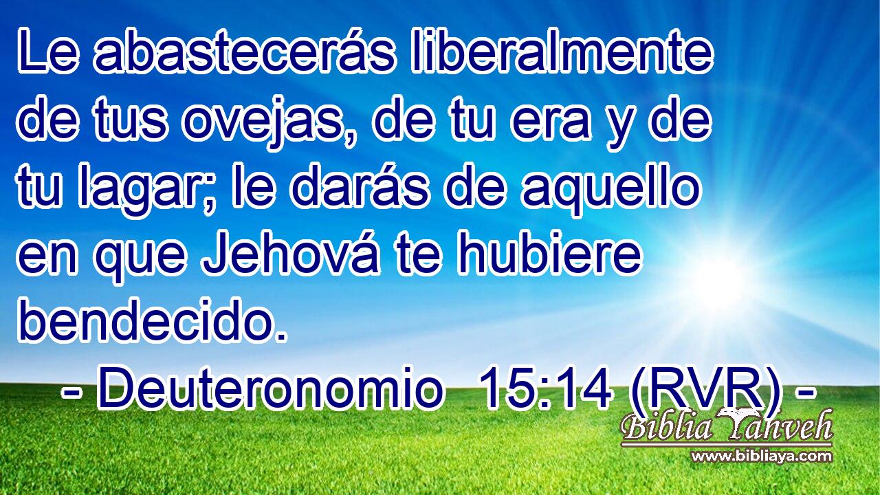Le abastecerás liberalmente de tus ovejas, de tu era y de tu lagar; le darás de aquello en que Jehová te hubiere bendecido.