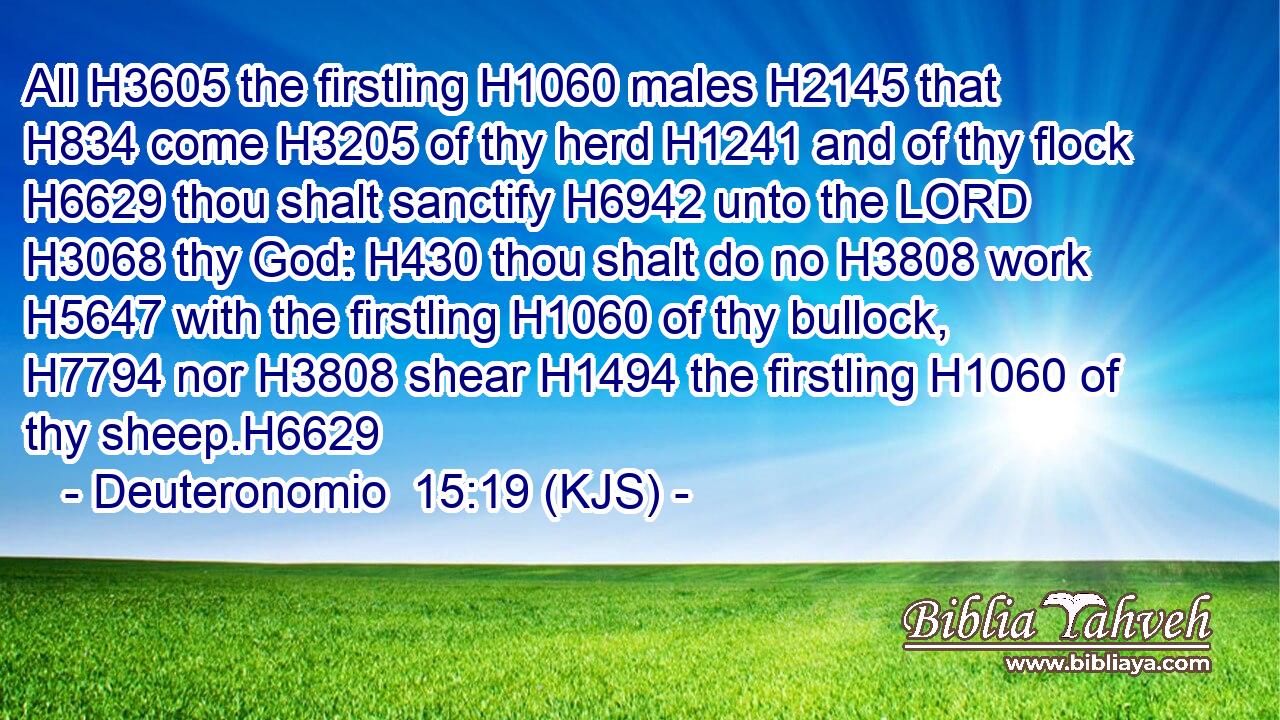 All H3605 the firstling H1060 males H2145 that H834 come H3205 of thy herd H1241 and of thy flock H6629 thou shalt sanctify H6942 unto the LORD H3068 thy God: H430 thou shalt do no H3808 work H5647 with the firstling H1060 of thy bullock, H7794 nor H3808 shear H1494 the firstling H1060 of thy sheep.H6629