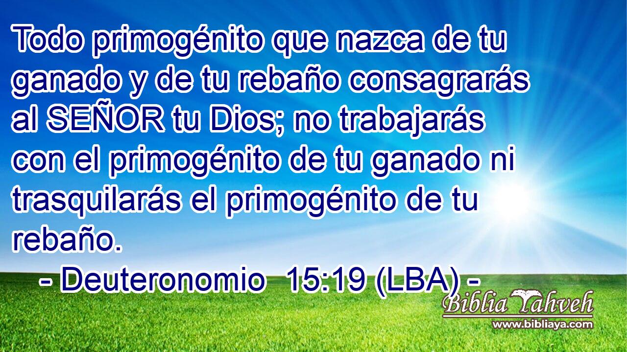Todo primogénito que nazca de tu ganado y de tu rebaño consagrarás al SEÑOR tu Dios; no trabajarás con el primogénito de tu ganado ni trasquilarás el primogénito de tu rebaño.