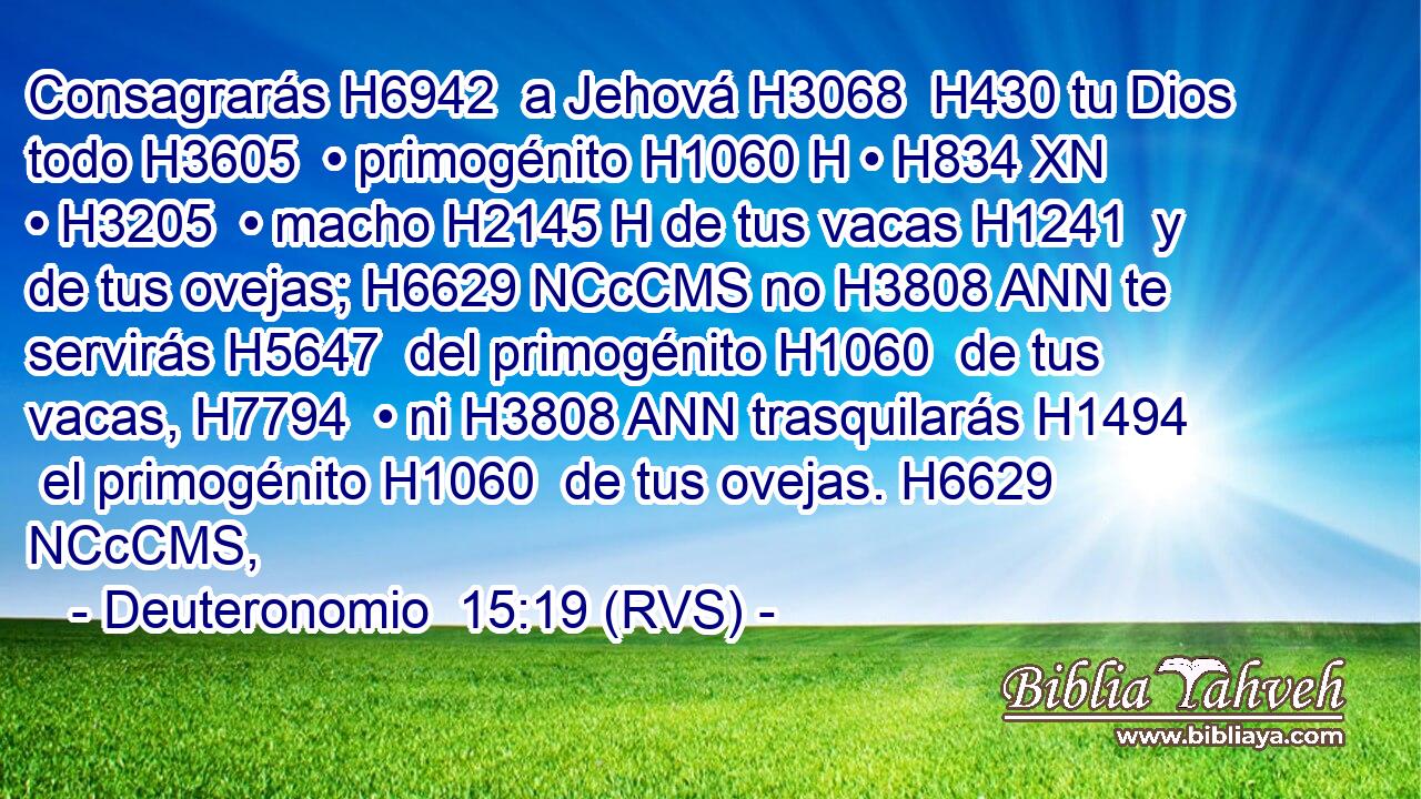 Consagrarás H6942  a Jehová H3068  H430 tu Dios todo H3605  • primogénito H1060 H • H834 XN • H3205  • macho H2145 H de tus vacas H1241  y de tus ovejas; H6629 NCcCMS no H3808 ANN te servirás H5647  del primogénito H1060  de tus vacas, H7794  • ni H3808 ANN trasquilarás H1494  el primogénito H1060  de tus ovejas. H6629 NCcCMS,  