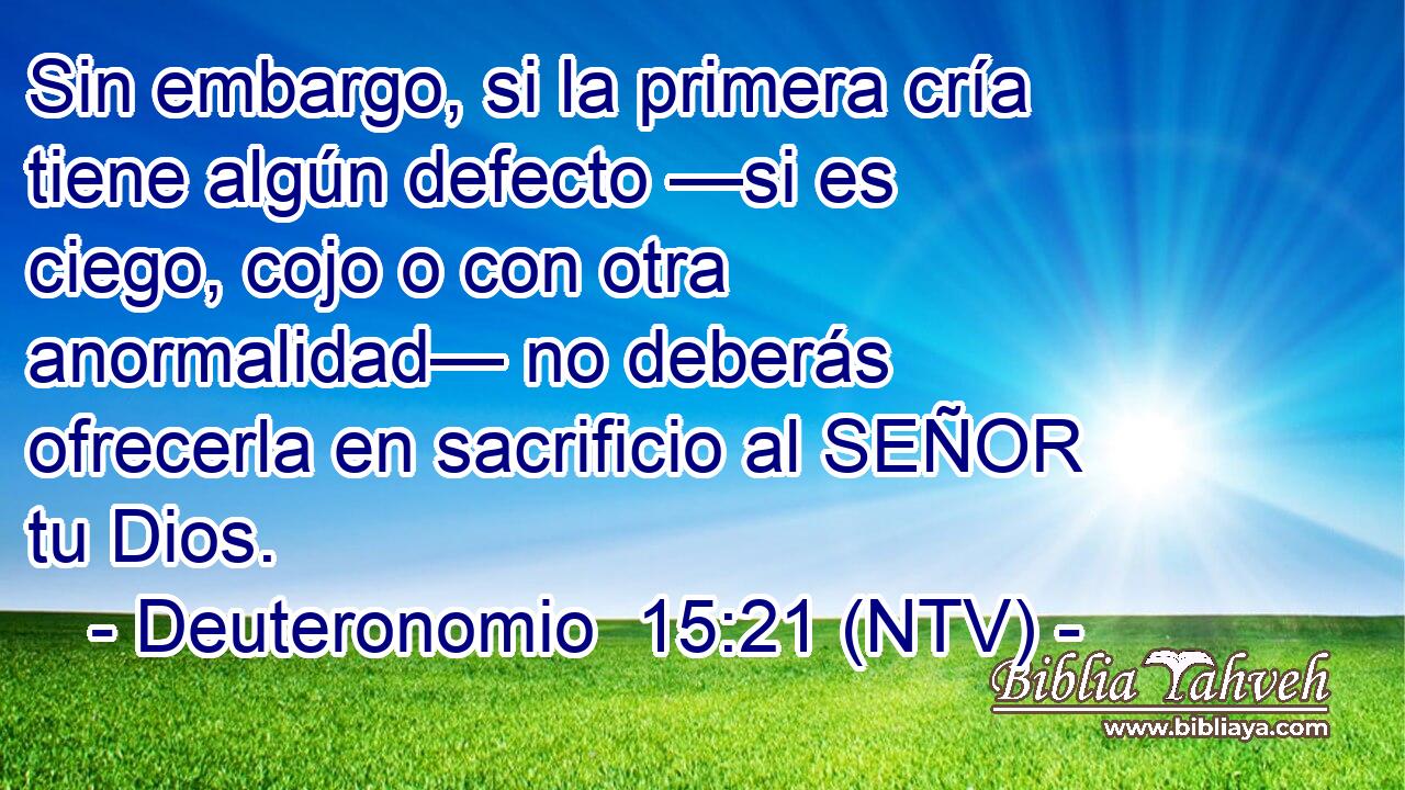 Sin embargo, si la primera cría tiene algún defecto —si es ciego, cojo o con otra anormalidad— no deberás ofrecerla en sacrificio al SEÑOR tu Dios.