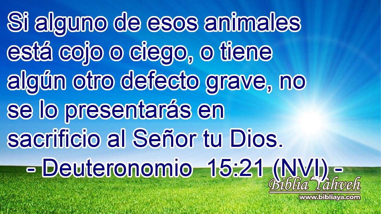  Si alguno de esos animales está cojo o ciego, o tiene algún otro defecto grave, no se lo presentarás en sacrificio al Señor tu Dios. 