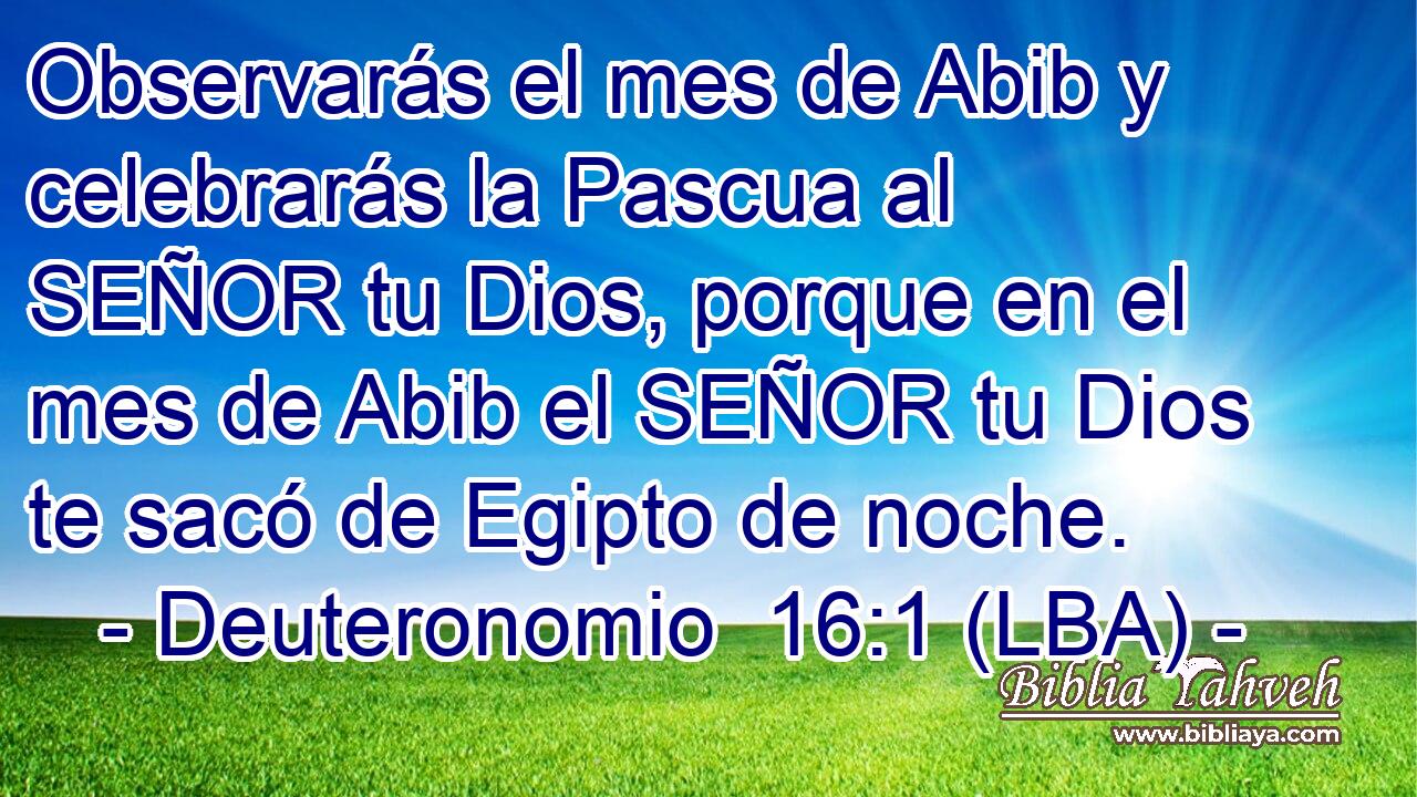 Observarás el mes de Abib y celebrarás la Pascua al SEÑOR tu Dios, porque en el mes de Abib el SEÑOR tu Dios te sacó de Egipto de noche.