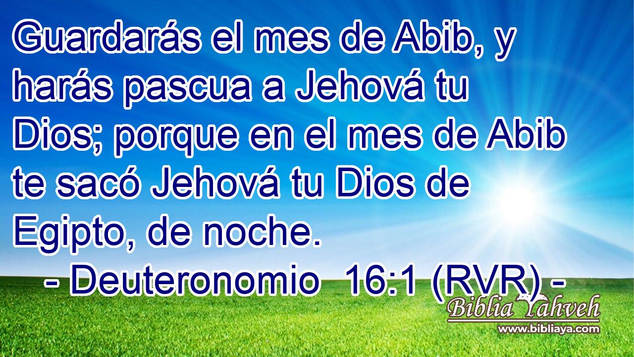 Guardarás el mes de Abib, y harás pascua a Jehová tu Dios; porque en el mes de Abib te sacó Jehová tu Dios de Egipto, de noche.