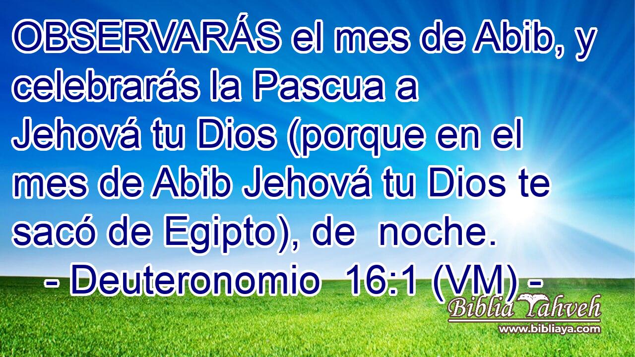  OBSERVARÁS el mes de Abib, y celebrarás la Pascua a Jehová tu Dios (porque en el mes de Abib Jehová tu Dios te sacó de Egipto), de  noche. 