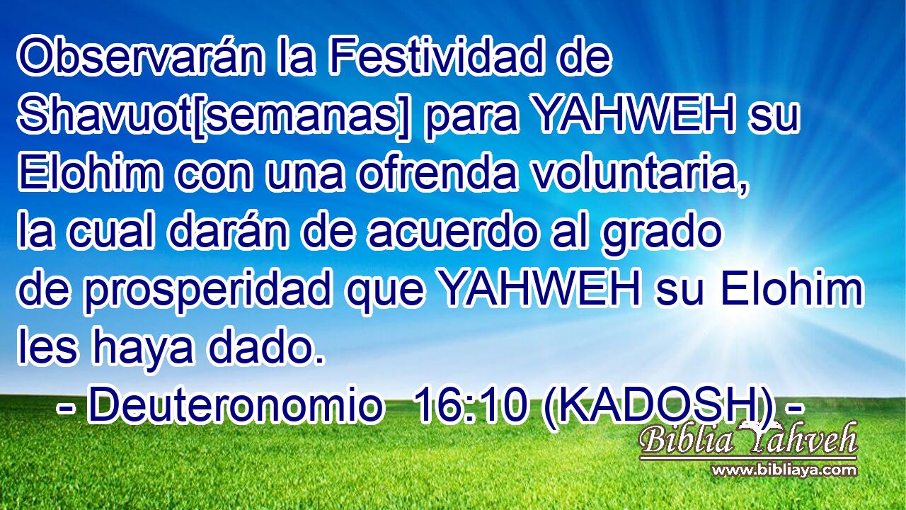  Observarán la Festividad de Shavuot[semanas] para YAHWEH su Elohim con una ofrenda voluntaria, la cual darán de acuerdo al grado de prosperidad que YAHWEH su Elohim les haya dado. 