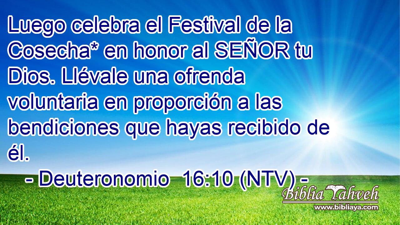 Luego celebra el Festival de la Cosecha* en honor al SEÑOR tu Dios. Llévale una ofrenda voluntaria en proporción a las bendiciones que hayas recibido de él.