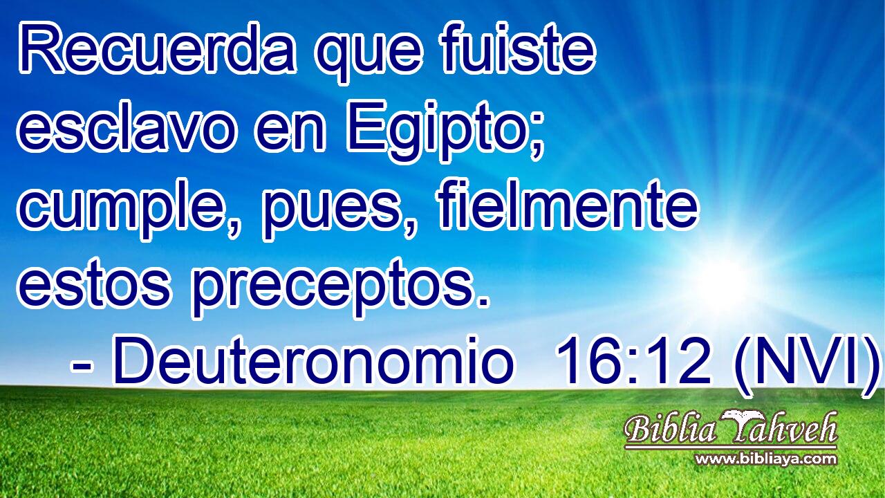  Recuerda que fuiste esclavo en Egipto; cumple, pues, fielmente estos preceptos. 