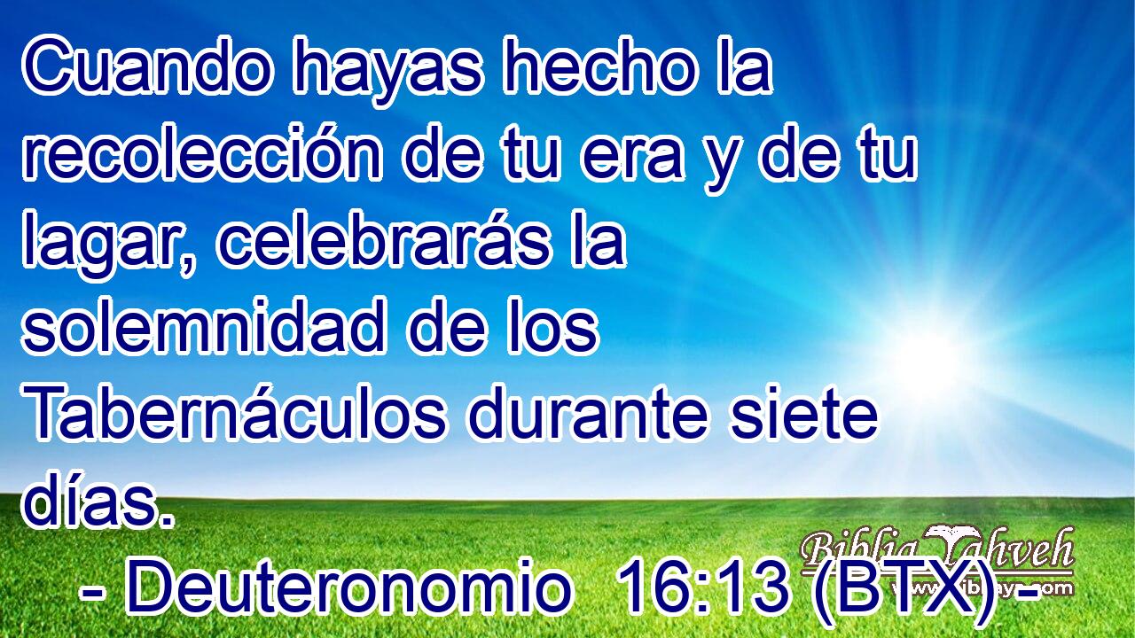 Cuando hayas hecho la recolección de tu era y de tu lagar, celebrarás la solemnidad de los Tabernáculos durante siete días.