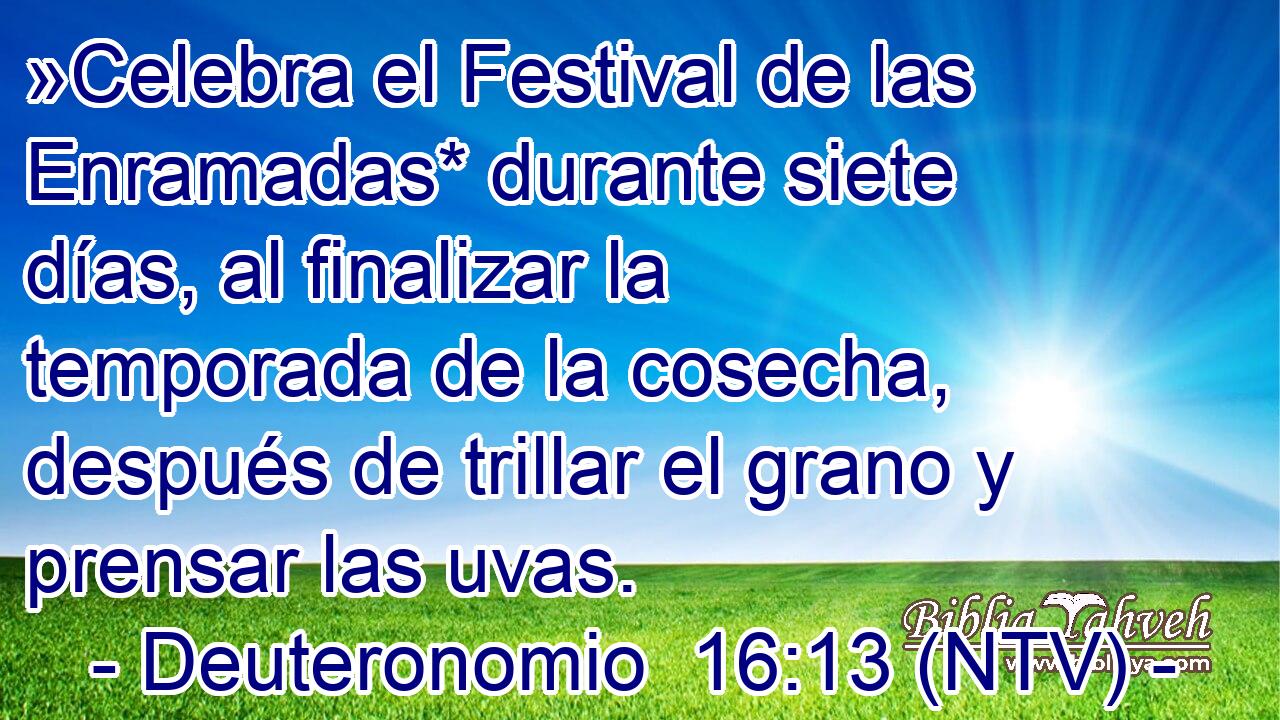 »Celebra el Festival de las Enramadas* durante siete días, al finalizar la temporada de la cosecha, después de trillar el grano y prensar las uvas.