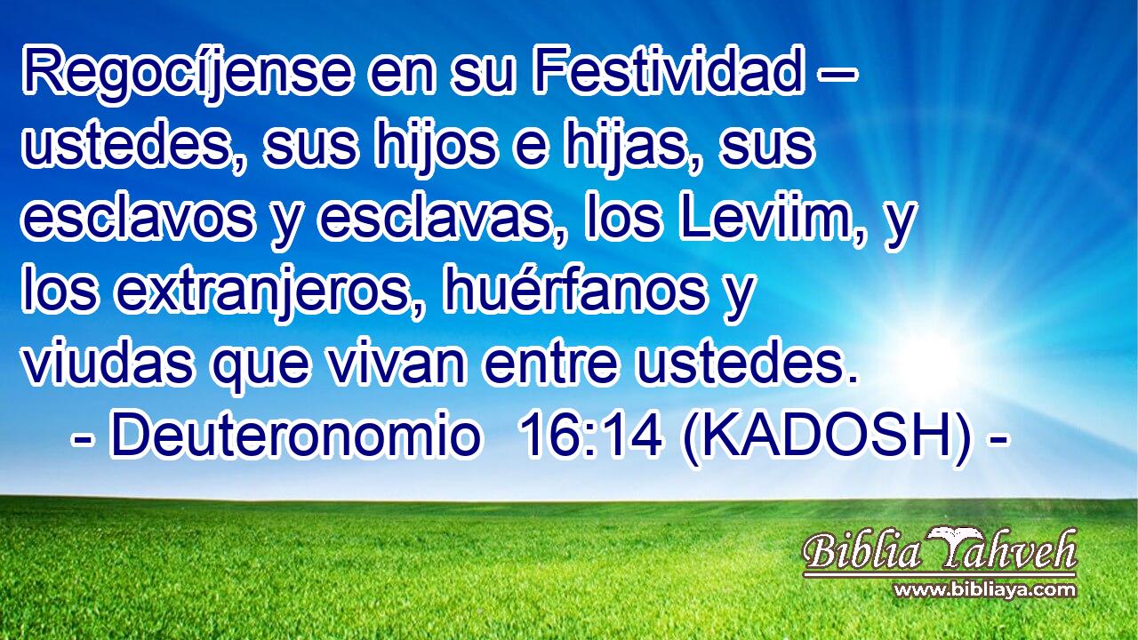  Regocíjense en su Festividad – ustedes, sus hijos e hijas, sus esclavos y esclavas, los Leviim, y los extranjeros, huérfanos y viudas que vivan entre ustedes. 