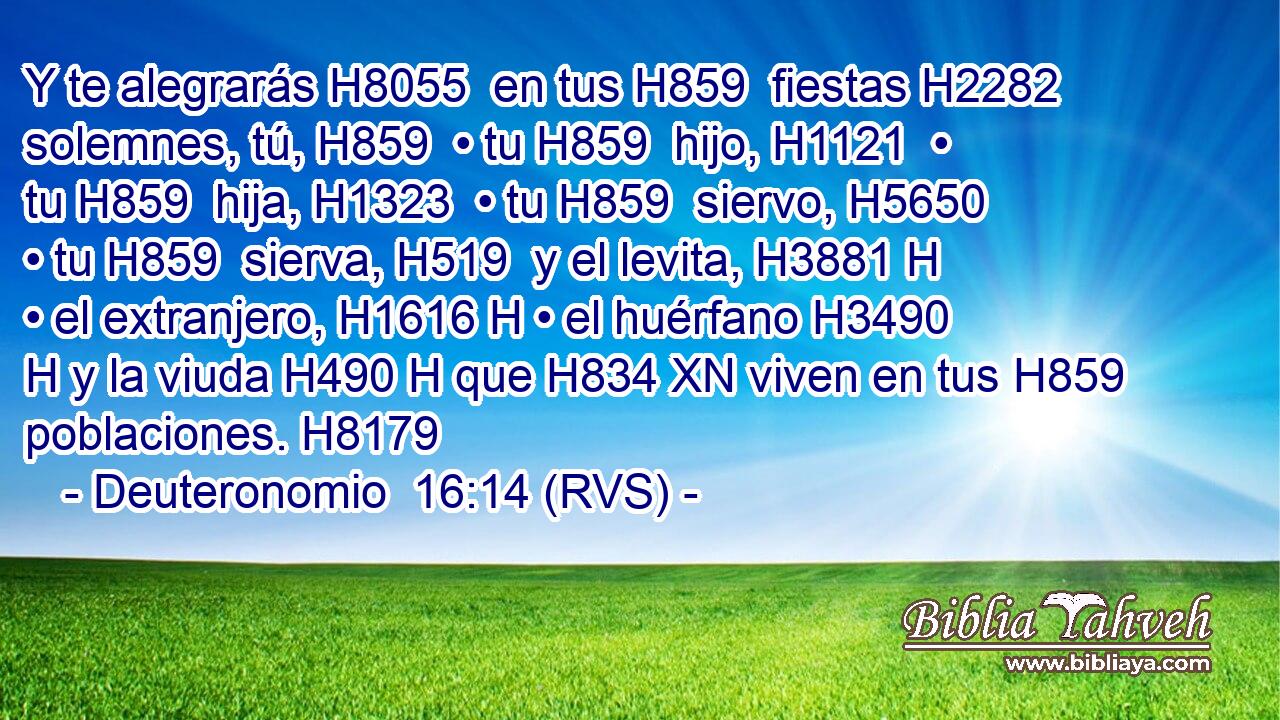 Y te alegrarás H8055  en tus H859  fiestas H2282  solemnes, tú, H859  • tu H859  hijo, H1121  • tu H859  hija, H1323  • tu H859  siervo, H5650  • tu H859  sierva, H519  y el levita, H3881 H • el extranjero, H1616 H • el huérfano H3490 H y la viuda H490 H que H834 XN viven en tus H859  poblaciones. H8179  