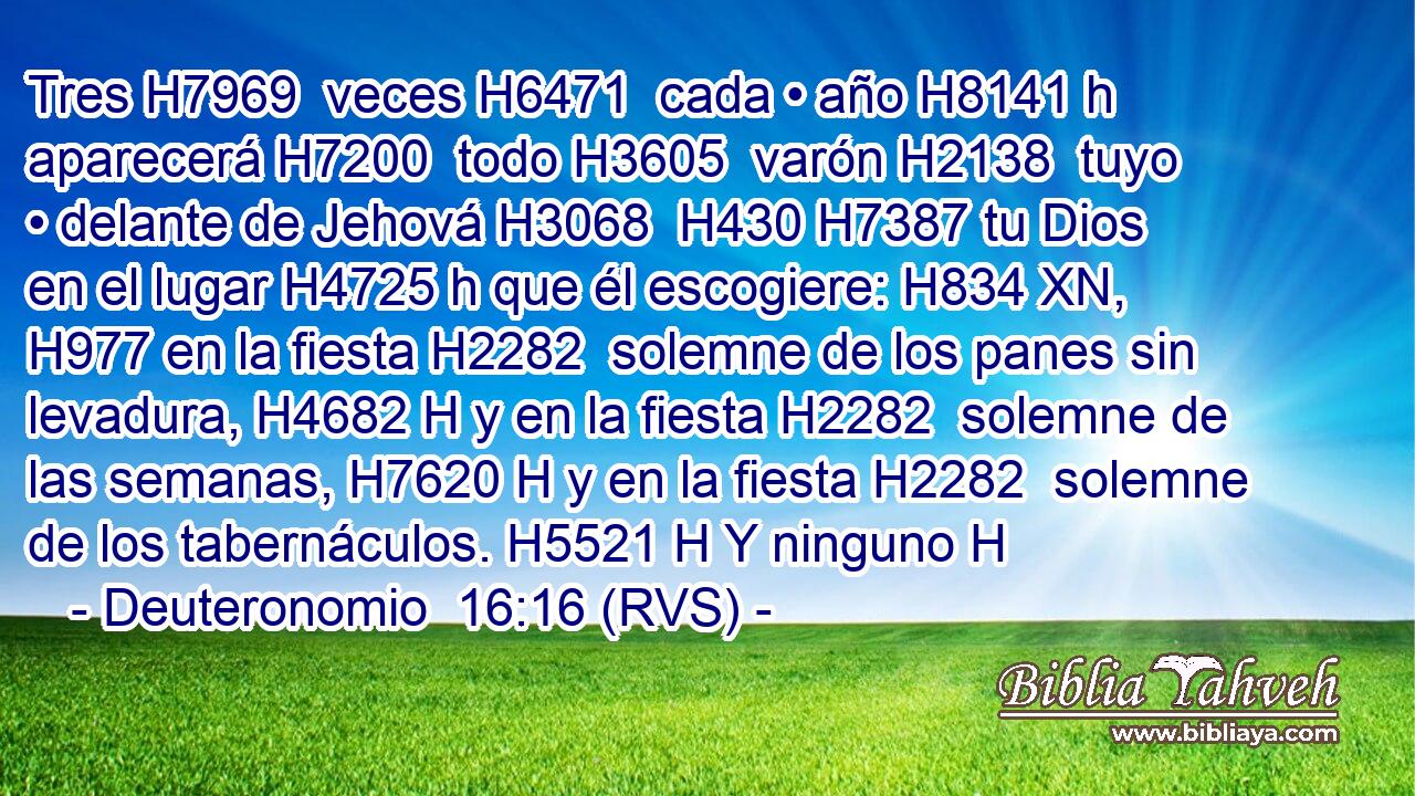 Tres H7969  veces H6471  cada • año H8141 h aparecerá H7200  todo H3605  varón H2138  tuyo • delante de Jehová H3068  H430 H7387 tu Dios en el lugar H4725 h que él escogiere: H834 XN,  H977 en la fiesta H2282  solemne de los panes sin levadura, H4682 H y en la fiesta H2282  solemne de las semanas, H7620 H y en la fiesta H2282  solemne de los tabernáculos. H5521 H Y ninguno H