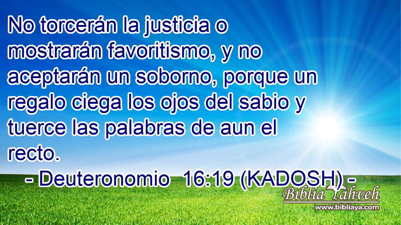  No torcerán la justicia o mostrarán favoritismo, y no aceptarán un soborno, porque un regalo ciega los ojos del sabio y tuerce las palabras de aun el recto. 