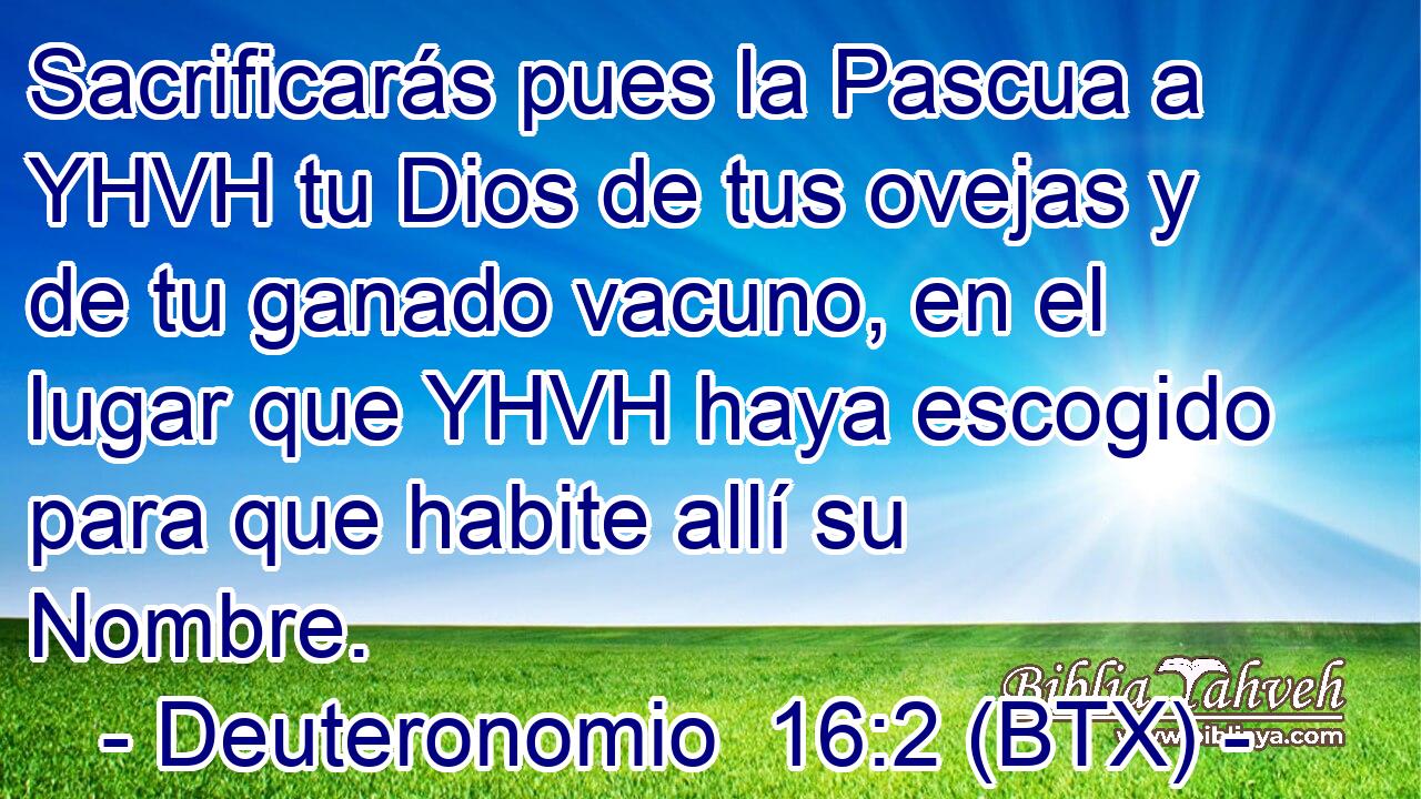 Sacrificarás pues la Pascua a YHVH tu Dios de tus ovejas y de tu ganado vacuno, en el lugar que YHVH haya escogido para que habite allí su Nombre.