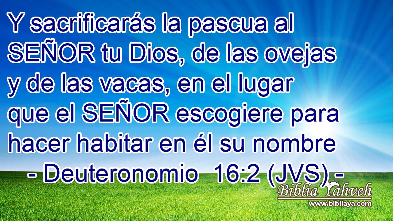 Y sacrificarás la pascua al SEÑOR tu Dios, de las ovejas y de las vacas, en el lugar que el SEÑOR escogiere para hacer habitar en él su nombre