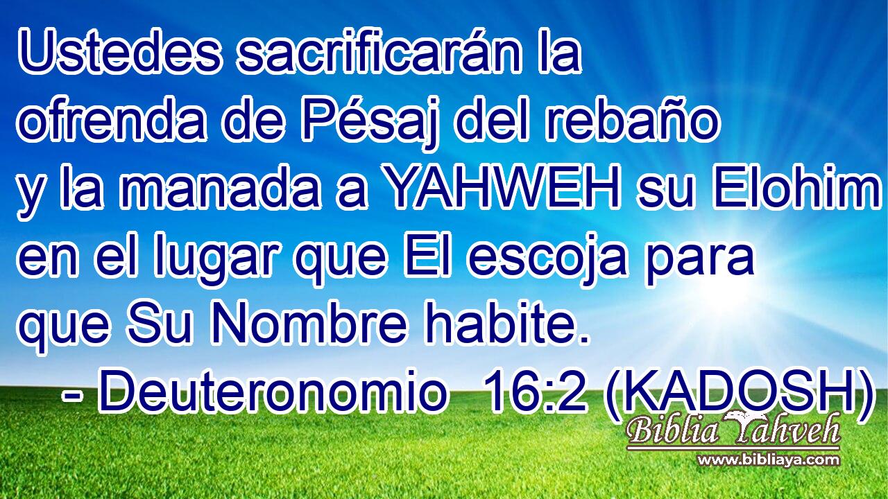  Ustedes sacrificarán la ofrenda de Pésaj del rebaño y la manada a YAHWEH su Elohim en el lugar que El escoja para que Su Nombre habite. 