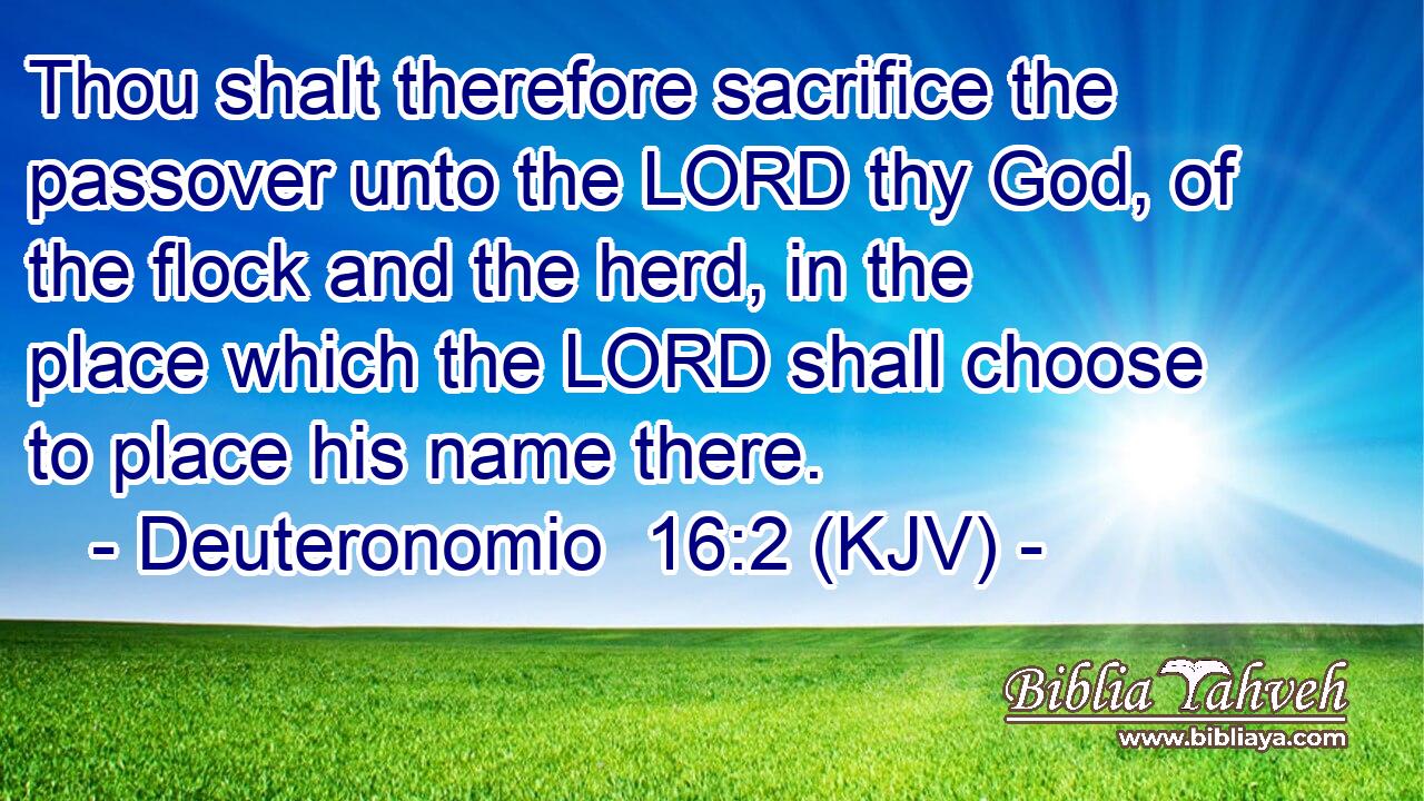 Thou shalt therefore sacrifice the passover unto the LORD thy God, of the flock and the herd, in the place which the LORD shall choose to place his name there.