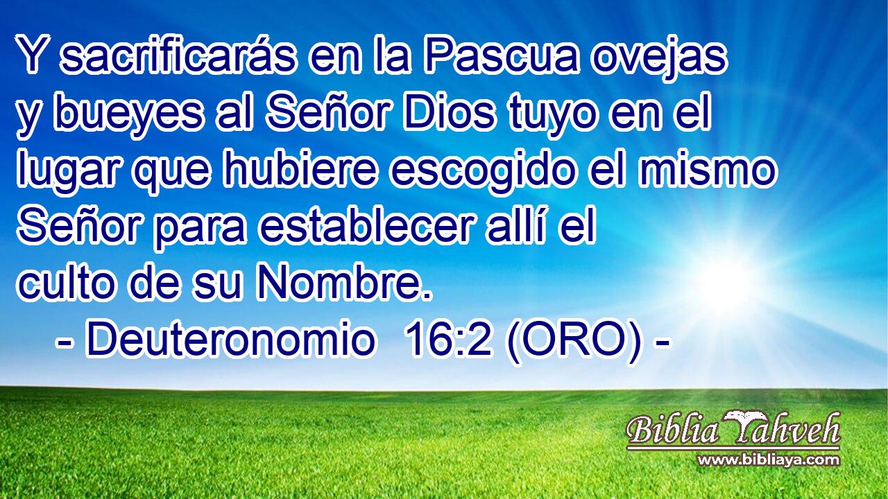  Y sacrificarás en la Pascua ovejas y bueyes al Señor Dios tuyo en el lugar que hubiere escogido el mismo Señor para establecer allí el culto de su Nombre. 