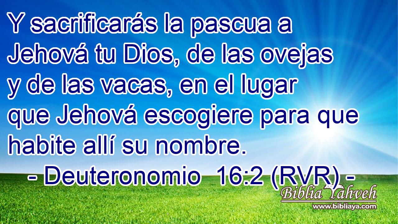 Y sacrificarás la pascua a Jehová tu Dios, de las ovejas y de las vacas, en el lugar que Jehová escogiere para que habite allí su nombre.