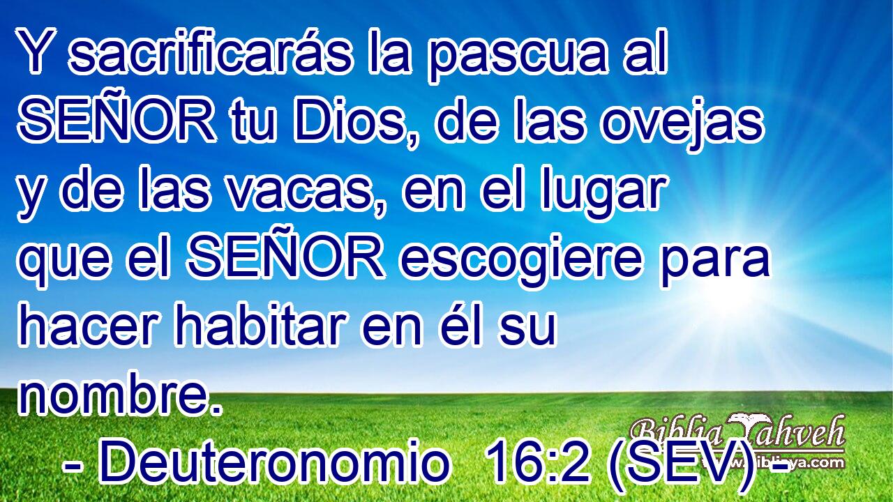 Y sacrificarás la pascua al SEÑOR tu Dios, de las ovejas y de las vacas, en el lugar que el SEÑOR escogiere para hacer habitar en él su nombre.
