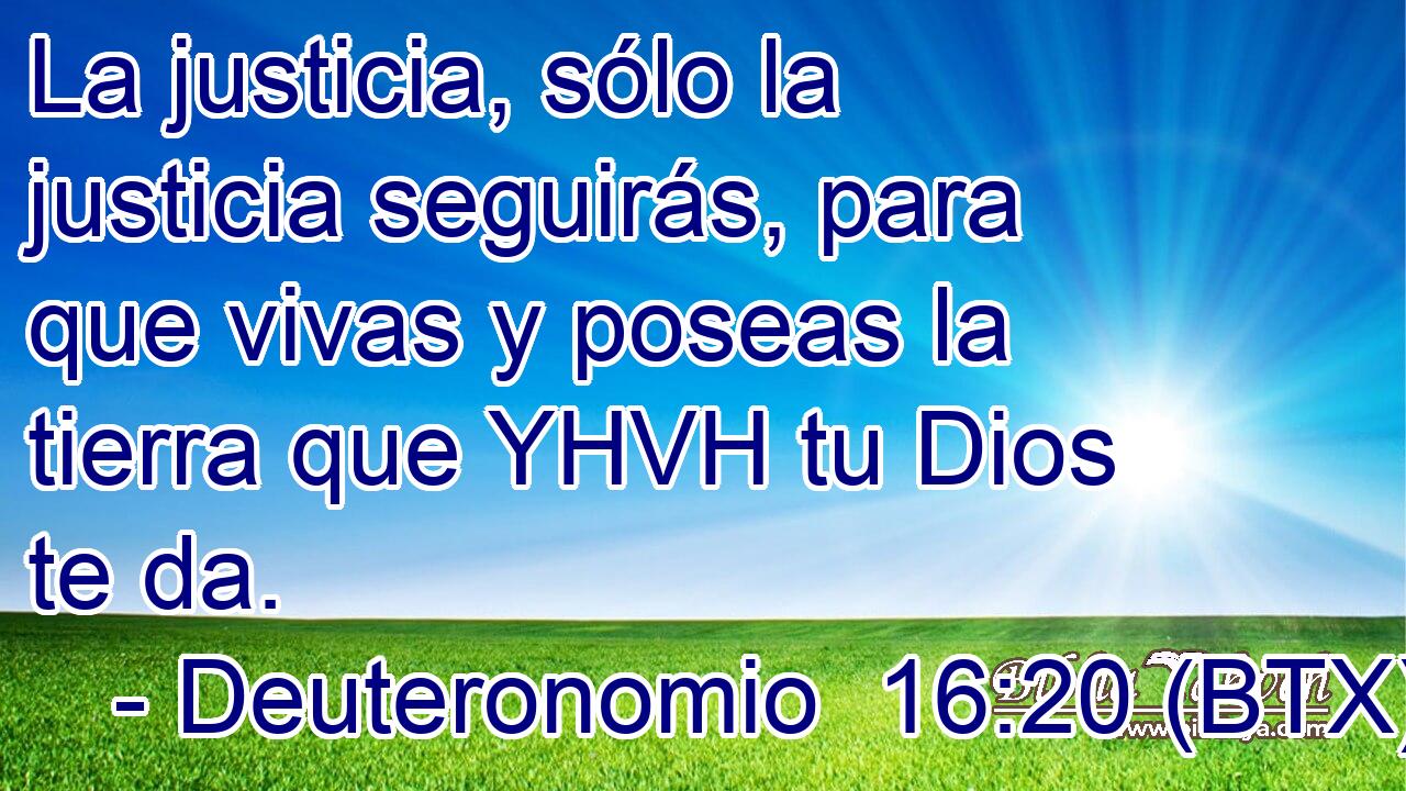 La justicia, sólo la justicia seguirás, para que vivas y poseas la tierra que YHVH tu Dios te da.