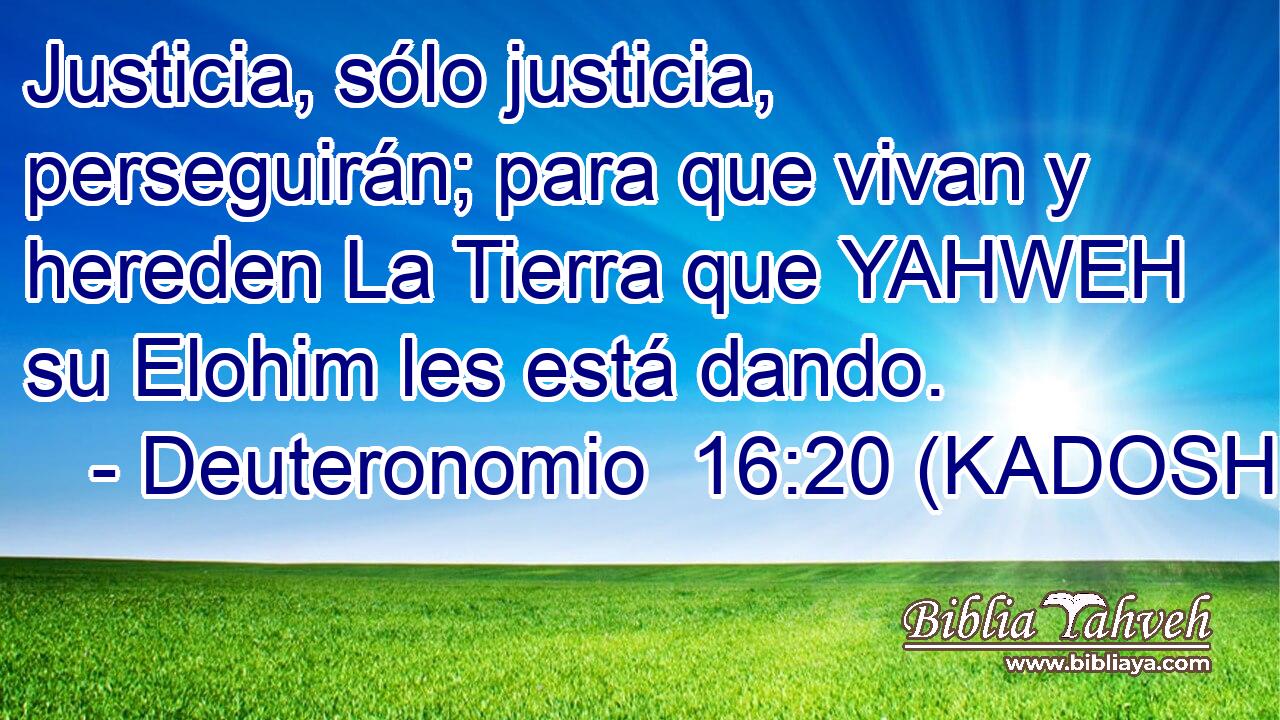 Justicia, sólo justicia, perseguirán; para que vivan y hereden La Tierra que YAHWEH su Elohim les está dando. 