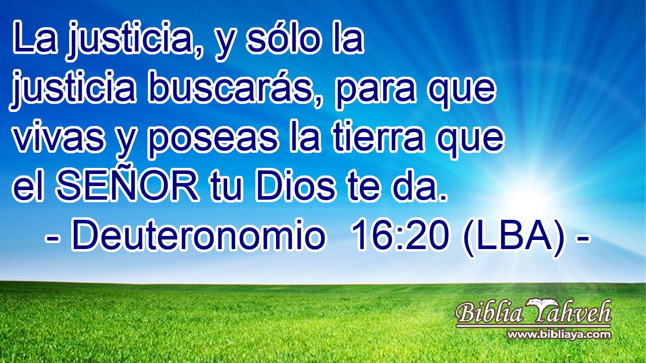 La justicia, y sólo la justicia buscarás, para que vivas y poseas la tierra que el SEÑOR tu Dios te da.