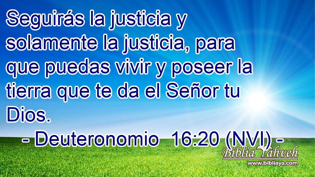  Seguirás la justicia y solamente la justicia, para que puedas vivir y poseer la tierra que te da el Señor tu Dios. 