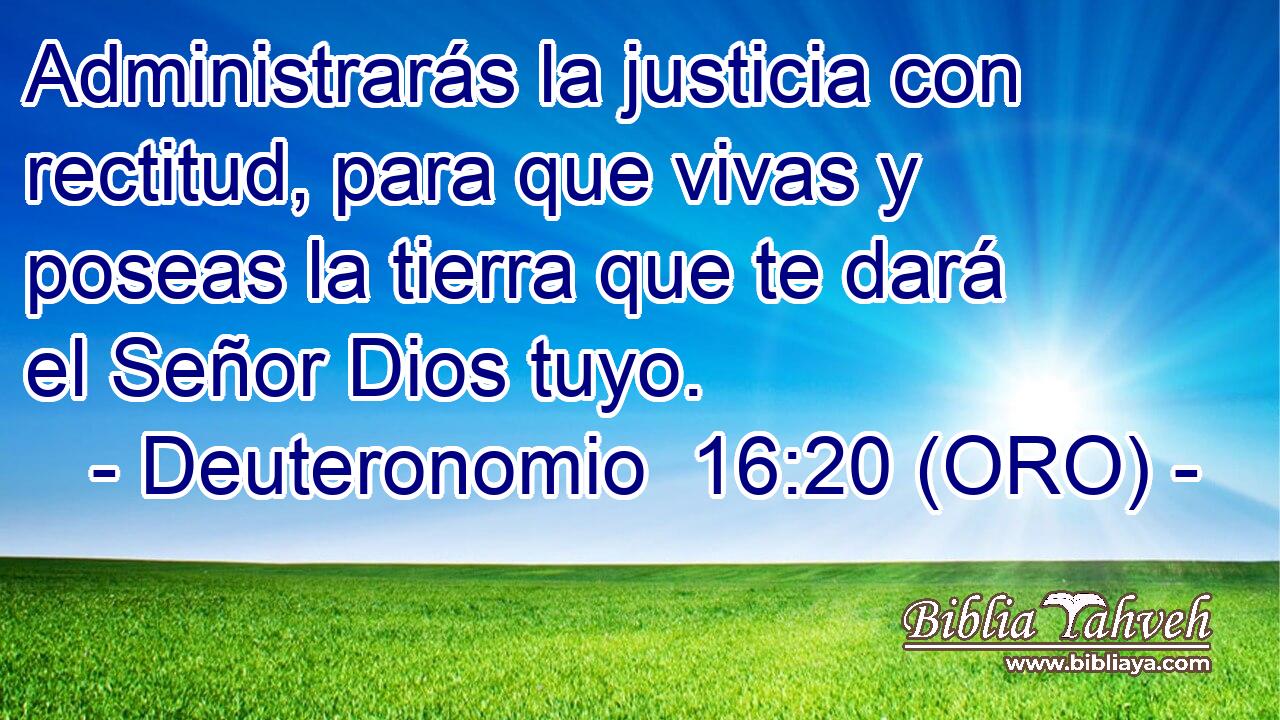  Administrarás la justicia con rectitud, para que vivas y poseas la tierra que te dará el Señor Dios tuyo. 