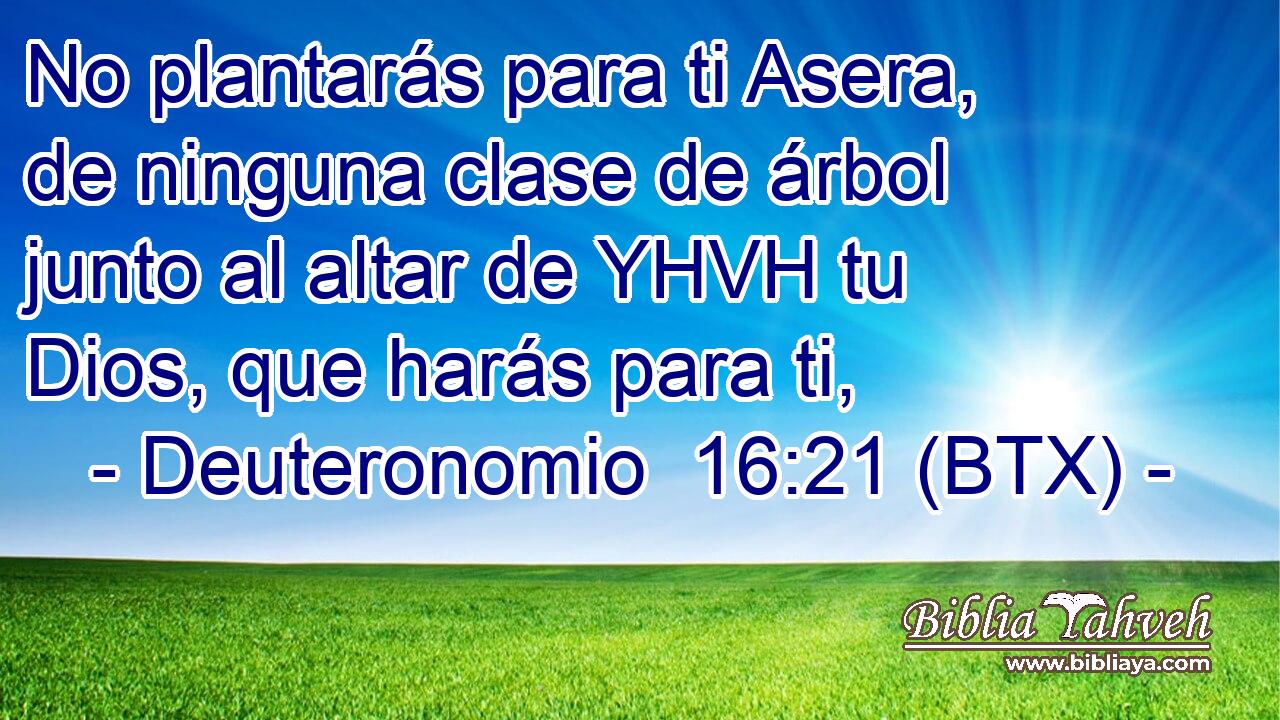 No plantarás para ti Asera, de ninguna clase de árbol junto al altar de YHVH tu Dios, que harás para ti,