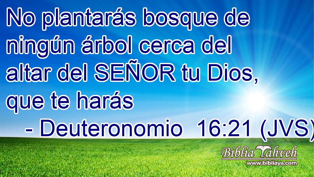 No plantarás bosque de ningún árbol cerca del altar del SEÑOR tu Dios, que te harás
